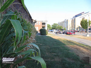 INDYGP2010_24