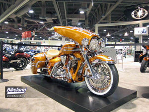 Carlos Avelar  custom Stratoliner
