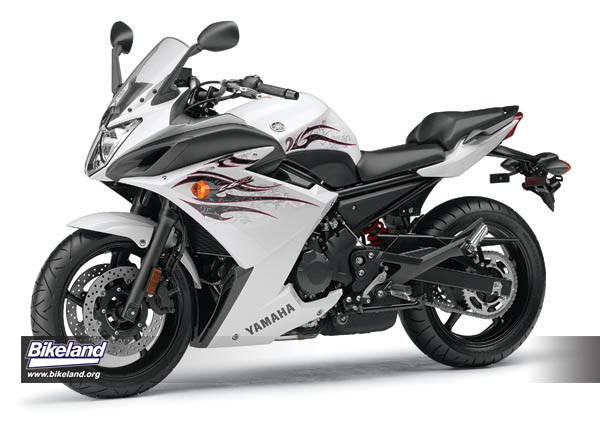 09MS_FZ6R_wht_S4 copy